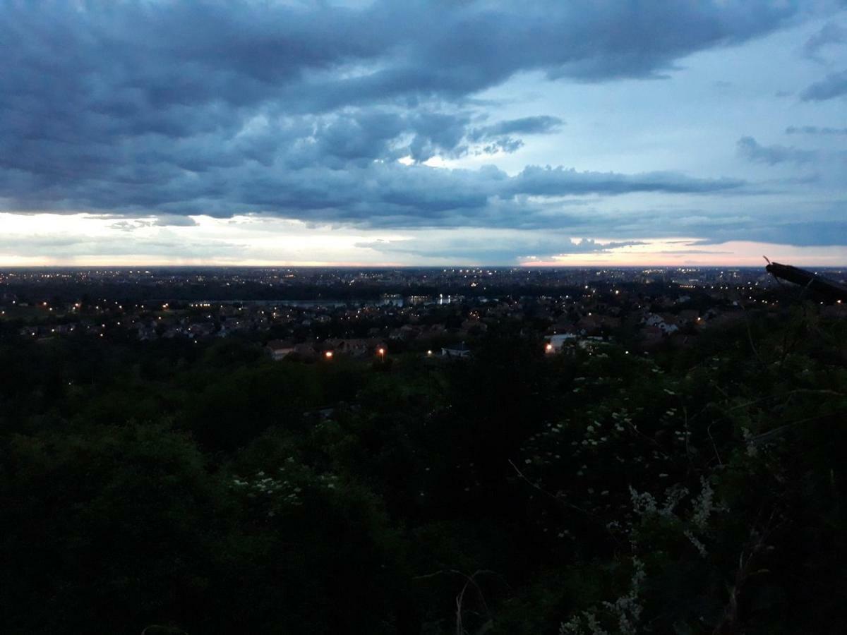 Just Nature Нови Сад Екстериор снимка